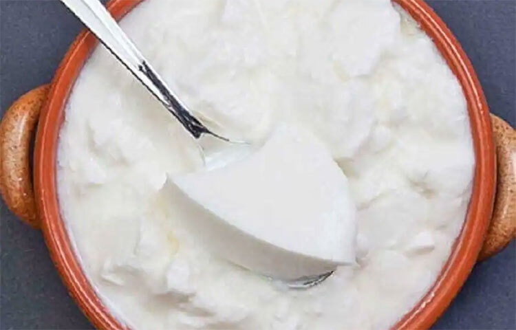 আয়ুর্বেদ মতে দই সকালে ও বিকেলে খাওয়া যেতে পারে। কিন্তু রাতে একবারেই না। তেমনই বর্ষায় দই খেতে বারণ করা হয় এই মতে। কারণ হিসেবে বলা হয়েছে, বৃষ্টিতে দই খাওয়ার অনেক পার্শ্বপ্রতিক্রিয়া হয়। ছবি: সংগৃহীত