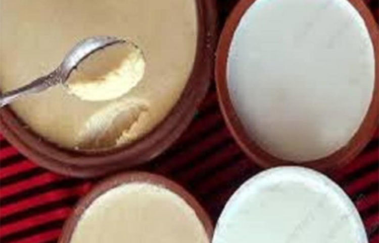 সাধারণত দইয়ে প্রয়োজনীয় ভিটামিন (ভিটামিন বি ৬, বি ১২), খনিজ পদার্থ, ক্যালসিয়াম, আমিষ  ইত্যাদি থাকে, দুধের সমান পুষ্টিও থাকে। টক দইয়ে উপকারী যে ব্যাকটেরিয়া থাকে তা ক্ষতিকারক ব্যাকটেরিয়াকে মেরে ফেলে।