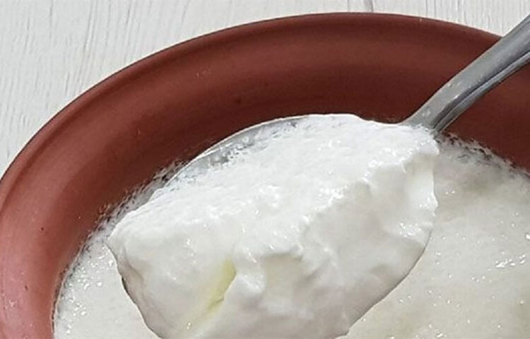 তাহলে কী দই খাওয়া উচিত কী উচিত না। গরমকালে যতটা দই খান, তার থেকে কমিয়ে দিন। দইয়ের গুণমান দেখে তবে খান। ভালো মানের দই খান। বেশি পুরোনো দই খাবেন না। ছবি: সংগৃহীত