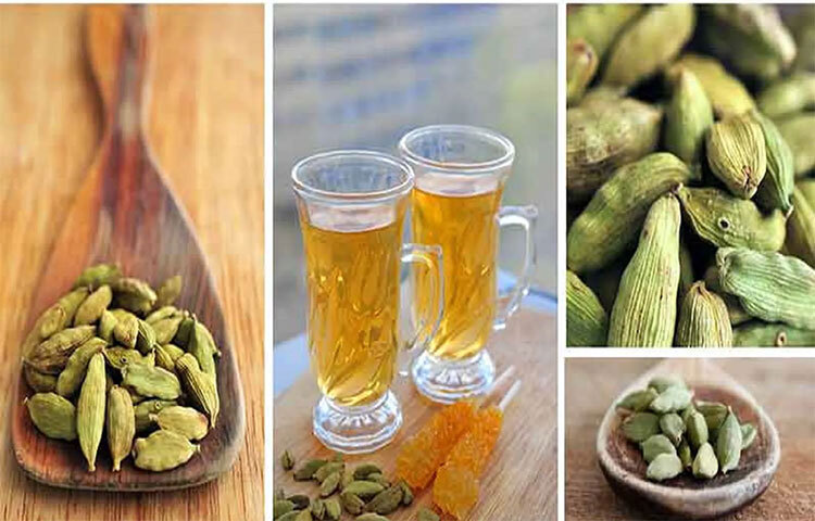 রক্ত জমাট বাঁধার সমস্যাও কিছুটা কমাতে পারে এলাচ পানি। রক্ত সঞ্চালনের গতিও বাড়িয়ে দেয় ঘরোয়া এই উপাদানটি। ছবি: সংগৃহীত