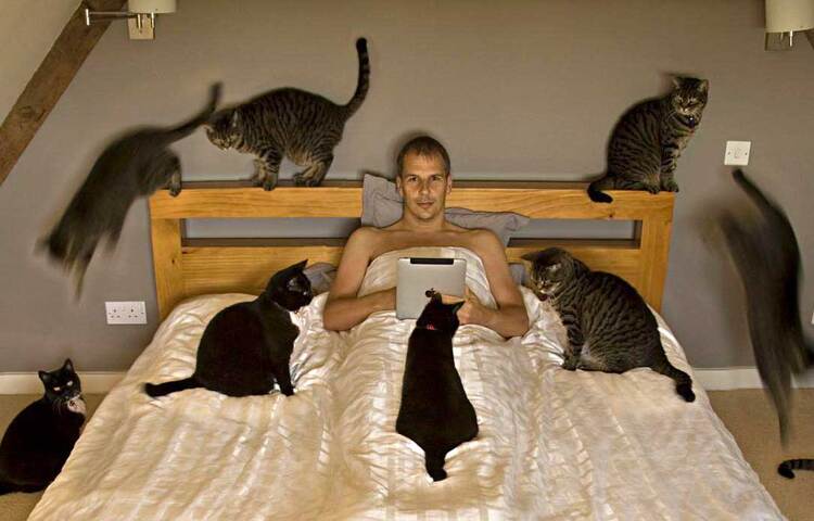 গবেষকরা বলছেন,‘তিনটি আলাদা গবেষণায় দেখা গেছে, শৈশবে বাড়িতে বিড়াল পোষার রীতি ছিল এমন পরিবারের ছেলে-মেয়েদের পরবর্তী জীবনে সিজোফ্রেনিয়া বা অন্য মানসিক রোগে আক্রান্ত হতে বেশি দেখা গিয়েছে।’ ছবি: সংগৃহীত