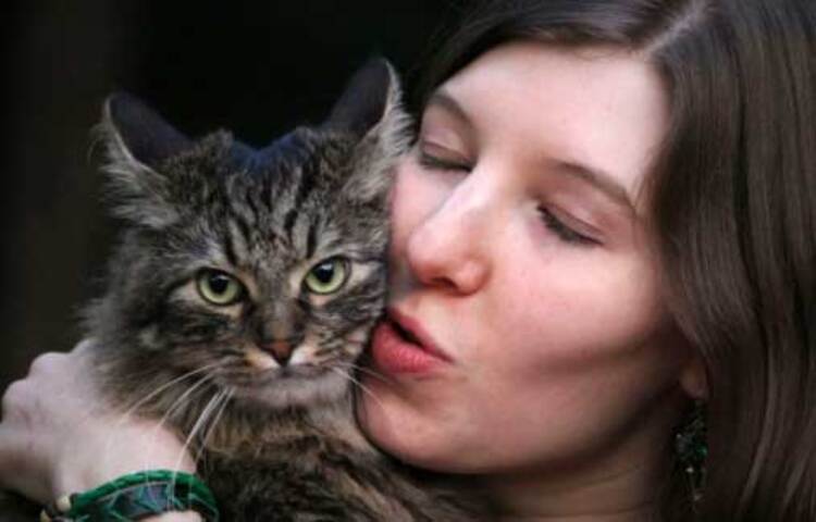 পরজীবী জীবাণুটির নাম ‘টক্সোপ্লাজমা গনডি’। যা প্রায় সব বিড়ালের শরীরেই বাসা বাঁধতে পারে। প্রাথমিক পর্যায়ে ‘টক্সোপ্লাজমা গনডি’র প্রভাব বোঝা যায় না। ছবি: সংগৃহীত