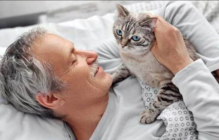 পোষা বিড়ালকে বাড়ির মধ্যেই আবদ্ধ রাখার চেষ্টা করা। বিড়ালের পরিচ্ছন্নতায় মনোযোগ বাড়ানো। এবং বিড়ালের থাকার জায়গা বা বিড়ালের খেলার বালির বাক্স ব্যবহারের সময়টুকু ছাড়া বাকি সময় ঢেকে রাখলে ‘টক্সোপ্লাজমা গনডি’ জীবাণুর বিস্তার রোধ করা যেতে পারে। ছবি: সংগৃহীত