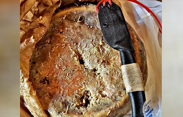 কোনোরকম বিপদের আভাস পেলে পোকাগুলো প্রায় ১৫ সেন্টিমিটার পর্যন্ত লাফাতে পারে। তাই খাওয়ার সময় পনিরটিকে ভালোভাবে হাতের মধ্যে চেপে ধরে খেতে হয়। তা না হলে মুখে যাওয়ার আগেই বিপদ বুঝে লাফিয়ে পালাতে পারে পোকাগুলো। ছবি: সংগৃহীত