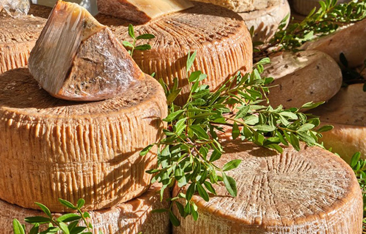 ইটালির পেকোরিনো পনির থেকেই কাসু মার্টজুর উদ্ভব। ভেড়ার দুধ থেকে তৈরি করা হয় এই পেকোরিনো পনির। পার্থক্য একটাই, অন্যান্য পনিরের প্রস্তুতি প্রণালীর সন্ধান প্রক্রিয়াটি এ ক্ষেত্রে একটু ভিন্ন। যাকে সন্ধান প্রক্রিয়া না বলে পচন প্রক্রিয়া বলাই শ্রেয়। ছবি: সংগৃহীত