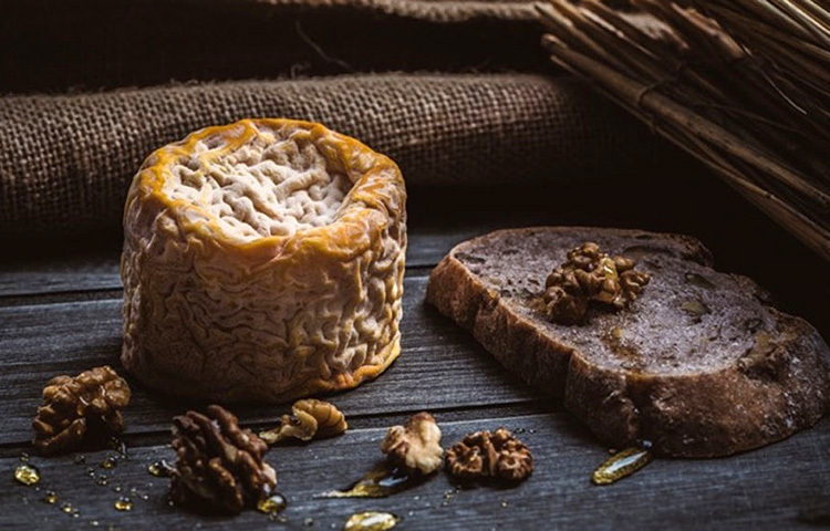 খাবার দীর্ঘদিন খোলা ফেলে রাখলে তাতে মাছি বসে যেমন পোকা ধরে যায়, একইসঙ্গে সেই খাবার নরম ও রসালো হয়ে যায়। সেভাবে ওই পনিরেও মূলত পচন ধরে যায়। ছবি: সংগৃহীত