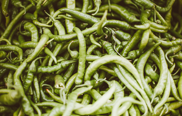 এছাড়াও বায়ু নিরুদ্ধ পাত্রে রেখে সংরক্ষণ করতে পারেন কাঁচা মরিচ। পাত্রের মধ্যে দুই লেয়ারে একটা তোয়ালে বিছিয়ে দিয়ে তার মধ্যে বোঁটা ছাড়িয়ে মরিচ রেখে দিন। এবার তোয়ালে দিয়ে মরিচগুলো ঢেকে দিন। পাত্রের মুখ বন্ধ করে ফ্রিজে রেখে দিন। তোয়ালেটা মরিচ থেকে অতিরিক্ত আর্দ্রতা শুষে নিয়ে ২০ থেকে ২৫ দিন ভালো রাখবে। ছবি: সংগৃহীত