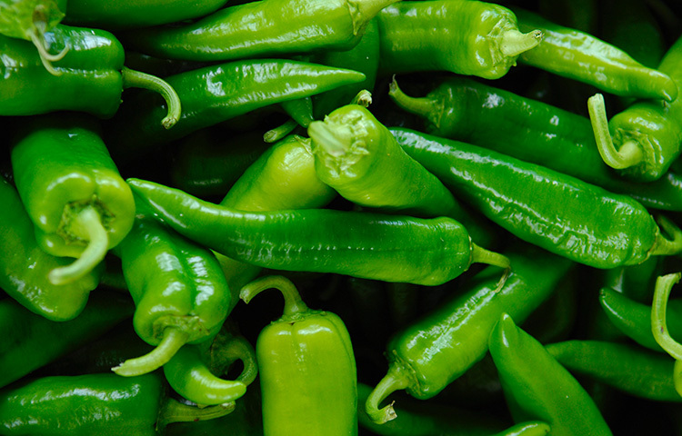 জিপ লক ব্যাগে দীর্ঘদিন কাঁচা মরিচ সংরক্ষণ করা যায়। কাঁচা মরিচের বোঁটা ফেলে জিপ লক ব্যাগে রেখে দিন। ব্যাগসহ মরিচগুলো ফ্রিজে রেখে দিলে দীর্ঘদিন ভালো থাকবে। ছবি: সংগৃহীত