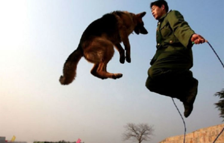 বাস্তবে যুদ্ধক্ষেত্রে লড়াইয়ের ক্ষমতা বাড়াতে উত্তর পশ্চিম চিনের জিনজিয়াং উইঘুরের স্বশাসিত অঞ্চলের উরুমচিতে চীনা সেনাদের প্রশিক্ষণ।