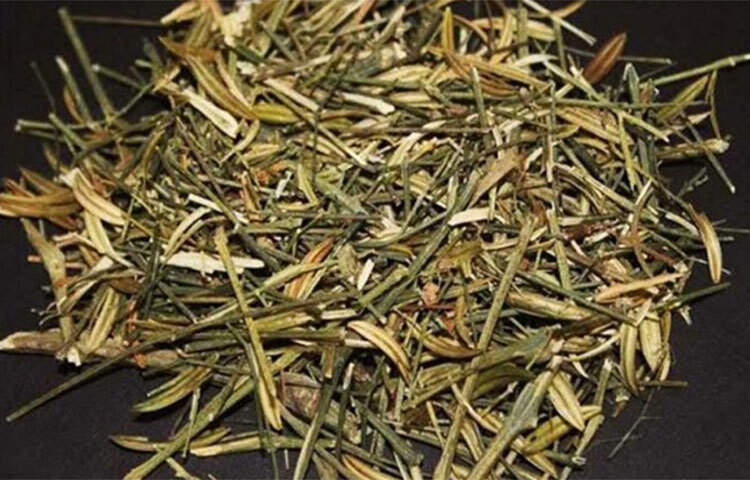 শরীরের রোগ-প্রতিরোধ ক্ষমতা বাড়িয়ে তোলে তিতা খাবার। নিয়মিত তিতা খাবার খেলে অসুখ হওয়ার প্রবণতা কম থাকে। চিরতা এরমধ্যে অন্যতম। চিরতা খেলে যেকোনো কাটা, ছেঁড়া, ক্ষতস্থান দ্রুত শুকায়। ছবি: সংগৃহীত