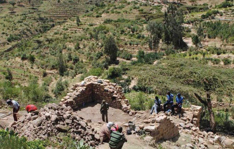 এই খনন কাজের পর গবেষকরা দেখেছেন, বিটা সামাতিতে ছিল প্রচুর ছোট ছোট বাড়ি। এর পাশাপাশি আয়তাকার বড় বাড়িরও খোঁজ মিলেছে। যেগুলোকে ‘বাসিলিকা’ বলে চিহ্নিত করেছেন গবেষকরা। এগুলো আদালত বা অন্য প্রশাসনিক দফতর হিসাবে ব্যবহৃত হত। পরে উপাসনাকেন্দ্রে পরিণত হয়েছিল এগুলো।