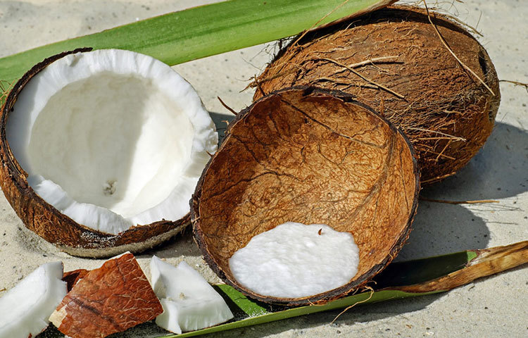 পুষ্টিবিদদের মতে, নারকেলে রয়েছে প্রচুর পরিমাণে ফাইবার আর সামান্য প্রটিন। দুপুর বা রাতের খাবারের পাতে কয়েক টুকরো নারকেল খান। কাঁচা না খেয়ে রান্নাতেও দিতে পারেন। তাতেও উপকার মিলবে। এইভাবে নিয়মিত নারকেল খেতে পারলে শরীরের বাড়তি ওজন দ্রুত কমবে।