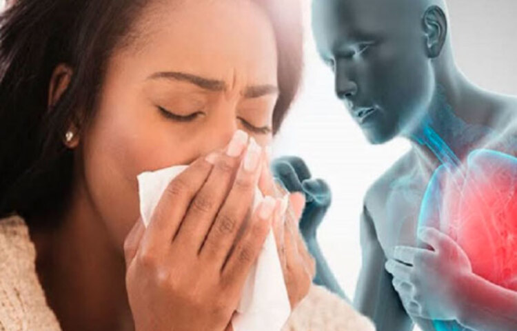 ঋতু পরিবর্তনের এই সময়টা আমাদের শরীরের জন্য মারাত্মক ক্ষতিকারক! ঘুষঘুষে জ্বর, সর্দি-কাশি, বুকে কফ জমা লেগেই থাকে। ডাক্তারের দ্বারস্থ হলেই অ্যান্টিবায়োটিকসহ নানা ধরনের ওষুধ দেয়। তবে ওষুধ ছাড়াও জ্বর-মাথাব্যথা, সর্দি-কাশি কমানো সম্ভব। ছবি: সংগৃহীত