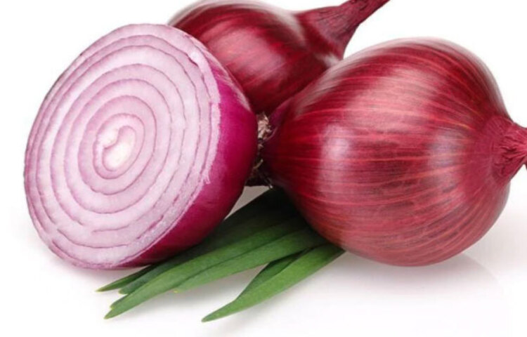 পেঁয়াজ: সমপরিমাণে পেঁয়াজের রস, লেবুর রস, মধু এবং পানি একসঙ্গে মিশিয়ে ফুটিয়ে নিন। এই মিশ্রণটা হালকা ঠান্ডা করে দিনে ৩-৪বার খান। এছাড়া কাঁচা পেঁয়াজও চিবিয়ে খেতে পারেন। সর্দি-কাশি কমে যাবে। ছবি: সংগৃহীত