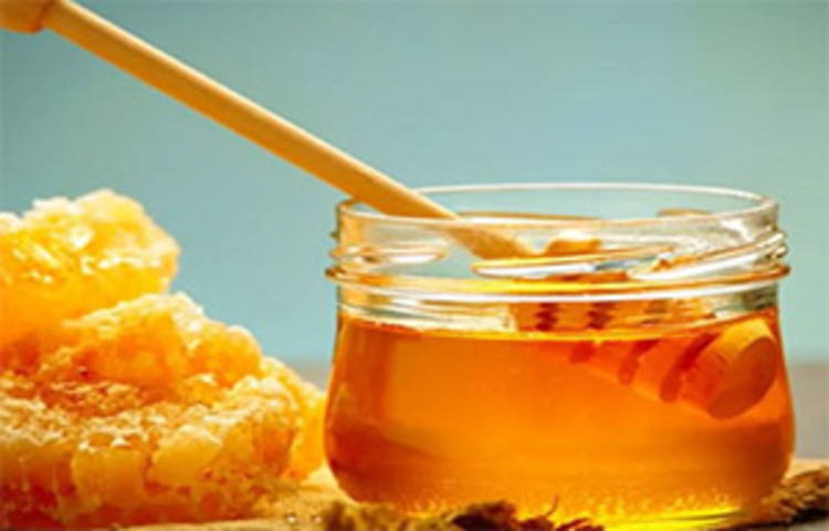 মধুর উপকারিতা: কফ-কাশির ক্ষেত্রে প্রায়শই মধু খাওয়ার কথা বলা হয়। ঠান্ডা লাগা থেকে বাঁচতে বহুকাল থেকেই এই ঘরোয়া উপায়ের পরামর্শ দেন চিকিৎসকদের একাংশ। এর অ্যান্টিমাইক্রোবায়াল উপাদান ঠান্ডা লাগা দূর করার পাশাপাশি শরীরও সতেজ রাখে। বেশ কয়েকটি গবেষণায় দেখা গিয়েছে, মধুতে উপস্থিত অ্যান্টিঅক্সিড্যান্ট ও অ্যান্টি-ইনফ্ল্যামেটরি উপাদান শুধু ঠান্ডা লাগাই নয়, নানা ধরনের হৃদরোগের সমস্যা ও ক্যানসারের বিরুদ্ধে লড়তে সাহায্য করে। ছবি: সংগৃহীত
