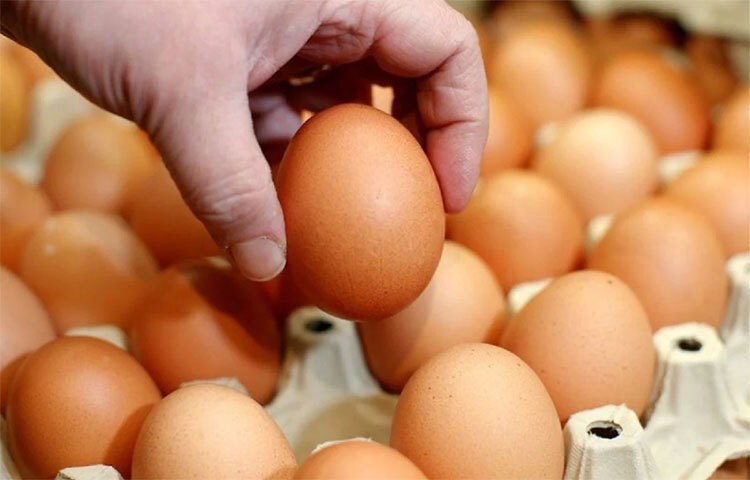 অনেকেই সময় বাঁচানোর জন্য ডিম প্রেসার কুকারে সেদ্ধ করতে বসিয়ে দেন। কিন্তু ডিম এভাবে প্রেসারে সেদ্ধ করলে দুর্ঘটনার ঘটতে পারে। তাই কখনোই এমন কাজ করা উচিত নয়। ছবি: সংগৃহীত