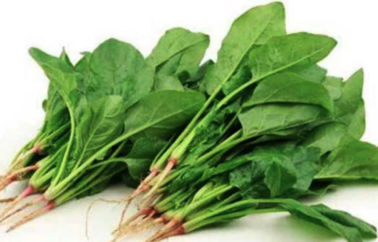 পালং শাক: প্রতিদিনের খাদ্যতালিকায় রাখুন পালং শাক। এটি হজম শক্তি বৃদ্ধি করার পাশাপাশি কোষ্ঠকাঠিন্যের সমস্যা দূর করে। আপনি চাইলে এটি সালাদের মতো করেও খেতে পারেন বা রান্না করেও খেতে পারেন। যদি আপনার কোষ্ঠকাঠিন্য সমস্যা খুব বেশি জটিল আকার ধারণ করে তাহলে, পালং শাকের রস বানিয়ে অর্ধেক পানির সঙ্গে মিশিয়ে প্রতিদিন ২ বেলা নিয়ম করে খেয়ে নিন। দ্রুত কোষ্ঠকাঠিন্য সমস্যা থেকে রেহাই পাবেন।