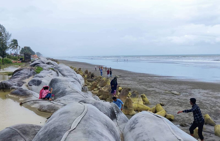স্থানীয় মানুষ আশা করছেন আর কিছুদিন পরে জমে উঠবে সৈকত। ছবি: জাগো নিউজ