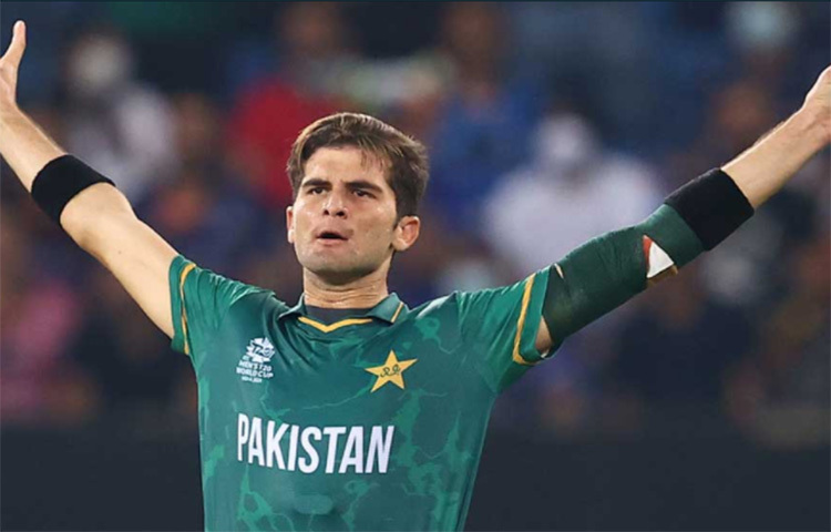 এবারের টি-টোয়েন্টি বিশ্বকাপে ঝড় তুলেছেন শাহিন। ভারতকে প্রায় একাই শেষ করে দিয়েছিলেন। তিন উইকেট নেন তিনি। এখন তিনি বিয়ে নিয়ে আলোচনায় রয়েছেন। ছবি: সংগৃহীত