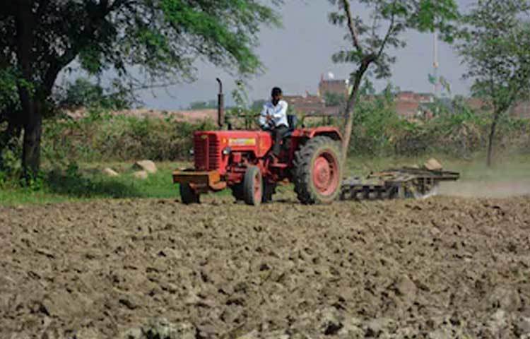 হাজার অসুবিধে সত্ত্বেও কার্তিককে কোনওদিন মাঠের কাজে হাত লাগাতে বলেননি তার বাবা। চাষবাস থেকে এতটাই দূরে রাখতে চেয়েছেন ছেলেকে, কার্তিক জানেনই না তার বাবা কী কী ফসল চাষ করেন।