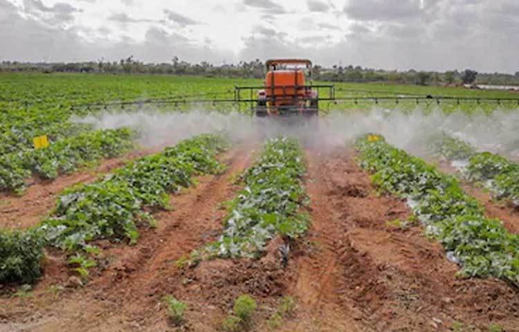 চাষবাসের মাঠের পরিবর্তে ক্রিকেটের মাঠই হোক কার্তিকের জীবন। বাবার এই স্বপ্নকে হারিয়ে যেতে দিতে চান না উনিশ বছরের কার্তিক। মনে করেন, ফাস্ট বোলার হওয়া শুধুমাত্র কোনো ক্যারিয়ার নয়। বরং, একটা অ্যাটিটিউড।