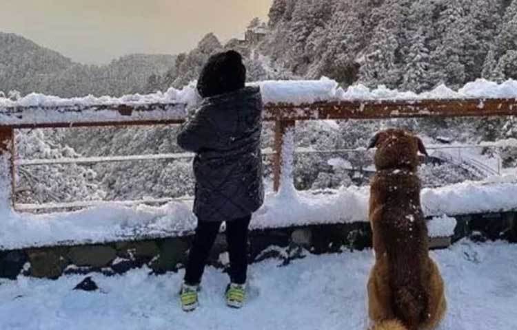 মেয়ে জিভা ও স্ত্রী সাক্ষীর সঙ্গে বরফে ঢাকা কোনো পাহাড়ি অঞ্চলে সময় কাটাচ্ছেন ধোনি। সেখানে মেয়ের সঙ্গে স্নোম্যান বানাতে দেখা যাচ্ছে ধোনিকে।