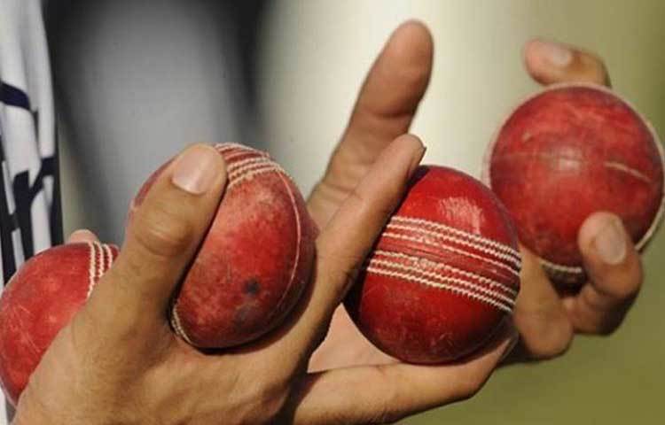 পাড়ার ক্রিকেট খেলার সময়েই ক্রিকেটার এ জয়প্রকাশের চোখে পড়ে যান নটরাজন। তিনি চেন্নাইয়ে নিয়ে আসেন নটরাজনকে। সেখানেই জীবনে প্রথম প্রথাগত ক্রিকেট-প্রশিক্ষণ পান তিনি।