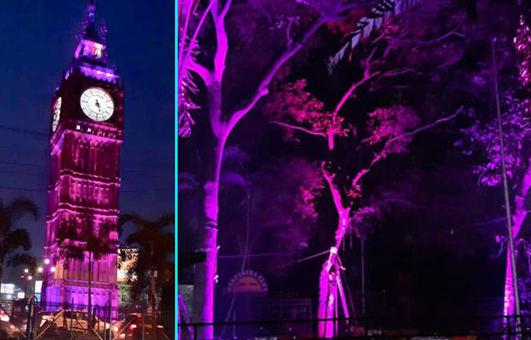 লেক টাউনের বিগ বেন থেকে এলিয়ট পার্ক গোলাপি আলোতে মুড়ে ফেলা হয়েছে।