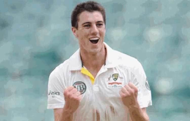 প্যাট কামিন্স: এই মুহূর্তে আইসিসির টেস্ট র‌্যাঙ্কিংয়ে কামিন্স এক নম্বরে। ওয়ানডেতে পাঁচ নম্বরে রয়েছেন এই অজি পেসার। ২০১৯ সালে কামিন্স অস্ট্রেলিয়ার হয়ে ওয়ানডেতে সব চেয়ে বেশি উইকেট নেন। ১৬টি ম্যাচে ৩১টি উইকেট নেন তিনি। পারফরম্যান্সের জন্য আইপিএল নিলামে কামিন্সের দাম ওঠে সাড়ে ১৫ কোটি টাকা। দলের পেস ব্যাটারির অন্যতম অস্ত্র তিনি।