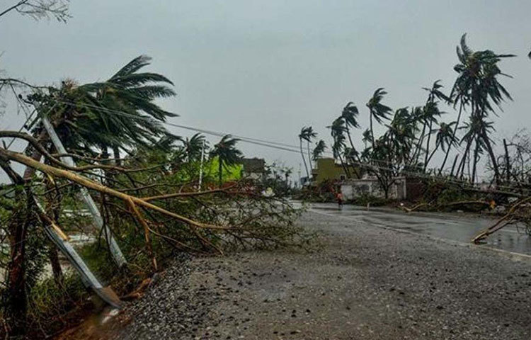 বাড়ির সব দরজা জানালা বন্ধ রাখুন।