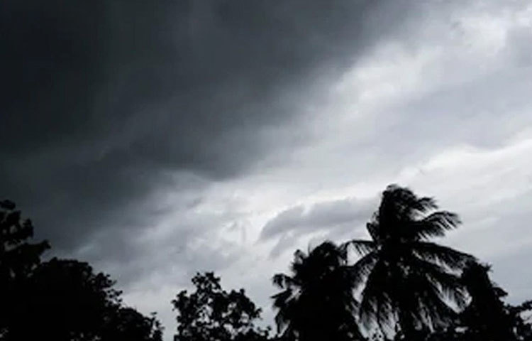 ঘূর্ণিঝড়ের প্রকোপে ভারতের যে রাজ্যগুলো নিয়মিত ক্ষতিগ্রস্ত হয়, তার মধ্যে অন্যতম হল পশ্চিমবঙ্গ, ওড়িশা, অন্ধ্রপ্রদেশ ও তামিলনাড়ু।