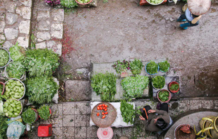 সবুজ তরকারি ডায়াবেটিসের রোগীদের জন্য উপকারী। এতে প্রচুর পরিমাণে ভিটামিন ও মিনারেল থাকে। পাশাপাশি ক্যালরিও কম থাকে সবুজ তরকারিতে। অ্যান্টিঅক্সিডেন্ট থাকায় ডায়াবেটিস নিয়ন্ত্রণে থাকে। ছবি: সংগৃহীত