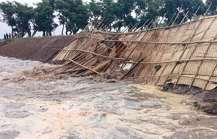 সুনামগঞ্জের তাহিরপুর উপজেলার নজরখালী বাঁধ ভেঙে হাওরের পানি ঢুকে ধানক্ষেত তলিয়ে গেছে। আজ সকাল সাড়ে ১০টার দিকে উপজেলার উত্তর শ্রীপুর ইউনিয়নে অবস্থিত নজরখালী বাঁধটি ভেঙে যায়। ছবি: লিপসন আহমেদ