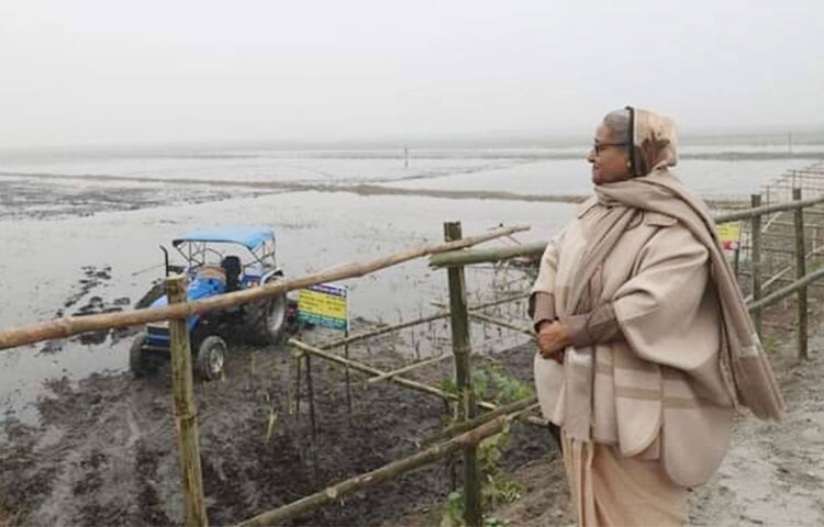 গোপালগঞ্জের টুঙ্গিপাড়া উপজেলার পাটগাতী ইউনিয়নের পুবের বিলে পৈতৃক জমি পরিদর্শন করেছেন প্রধানমন্ত্রী শেখ হাসিনা। আজ সকালে প্রধানমন্ত্রী এ জমি পরিদর্শন করেন। এ অঞ্চলের জমিগুলো বছরের ৮-৯ মাসই পানির নিচে থাকে। ভাসমান বেডে সবজি ও অন্যান্য ফসল চাষ করে এসব জমি চাষ উপযোগী করে তোলার ব্যাপারে নির্দেশনা দেন সরকারপ্রধান। ছবি: জাগো নিউজ