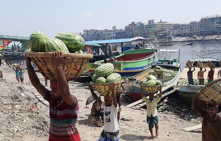 রমজানে তরমুজের দাম ভালো পাওয়ায় দেশের বিভিন্ন স্থান থেকে রাজধানীতে প্রচুর তরমুজ আসছে। ছবি: বিপ্লব দিক্ষিৎ