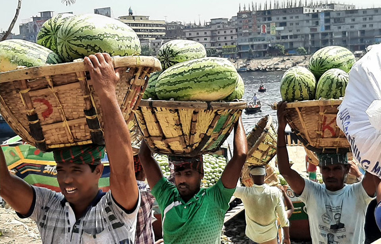 রাজধানীর সদরঘাট এলাকায় গিয়ে দেখা গেছে শ্রমিকরা ট্রলার থেকে তরমুজ কূলে তুলছেন। ছবি: বিপ্লব দিক্ষিৎ