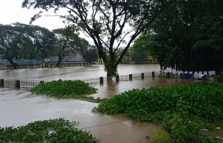 বন্যার পানিতে ডুবে আছে সিলেটের সব জনপদ। ছবি: ছামির মাহমুদ