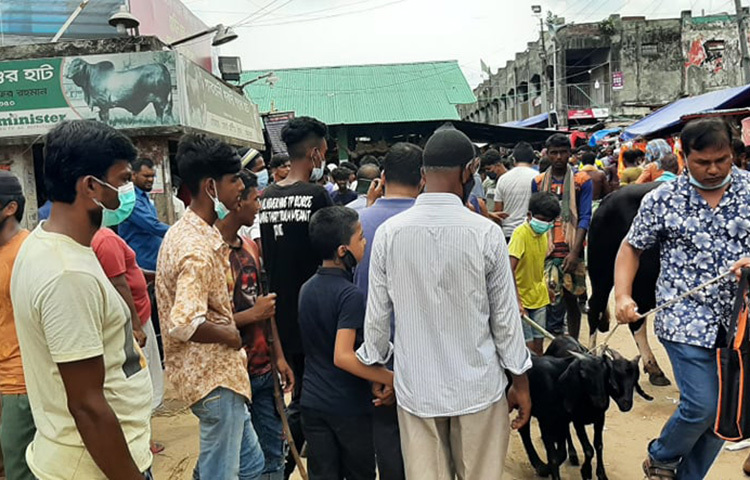 গরুর হাটগুলোতে ক্রেতাদের উপস্থিতি লক্ষ্য করার মতো। ছবি: সংগৃহীত