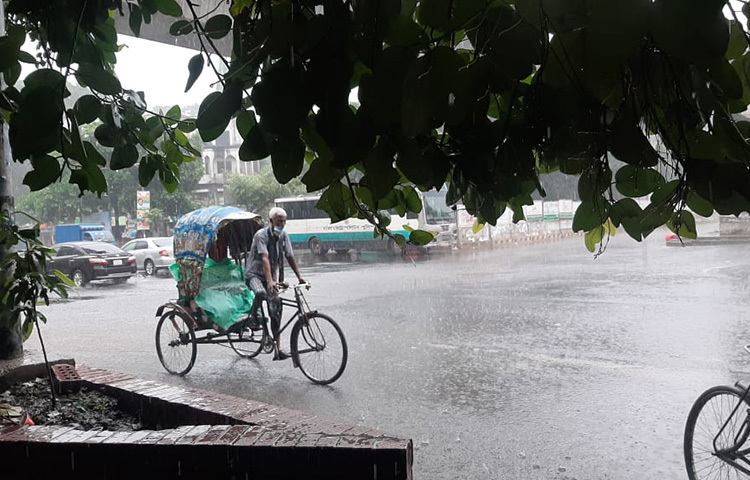 আজ রাজধানীতে দুপুরের দিকে বৃষ্টি হয়েছে। শাহবাগ এলাকা থেকে এই ছবি তোলা হেেয়ছে। ছবি: জাগো নিউজ