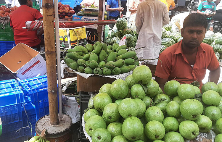 রাজধানীর বিভিন্ন বাজারে প্রচুর পরিমাণে মৌসুমী ফর পাওয়া যাচ্ছে। তবে দাম অনেক বেশি বলে ক্রেতারা অভিযোগ করেছেন। ছবি: মাহবুব  আলম