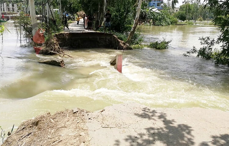 বন্যার পানিতে টাঙ্গাইলের মির্জাপুর উপজেলার মহেড়া ইউনিয়নের আদাবাড়ি গ্রামের একটি ব্রিজ ধসে পড়েছে। ফলে গত তিনদিন ধরে কড়াইল ও হিলড়া গ্রামসহ ১০ গ্রামের সঙ্গে সড়ক যোগাযোগ বিচ্ছিন্ন রয়েছে। ভোগান্তি পোহাতে হচ্ছেন গ্রামবাসী। ছবি: এস এম এরশাদ