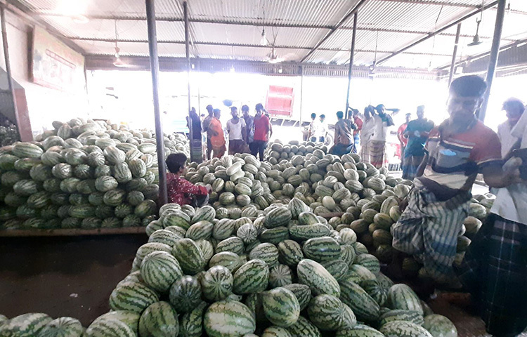 রাজধানীর কারওয়ান বাজারের ফলের আড়তে তরমুজ এনে জমা করা হচ্ছে। এখান থেকে খুরচা বিক্রেতারা কিনে নিয়ে শহরের বিভিন্ন স্থানে বিক্রি করেন। ছবি: জাগো নিউজ