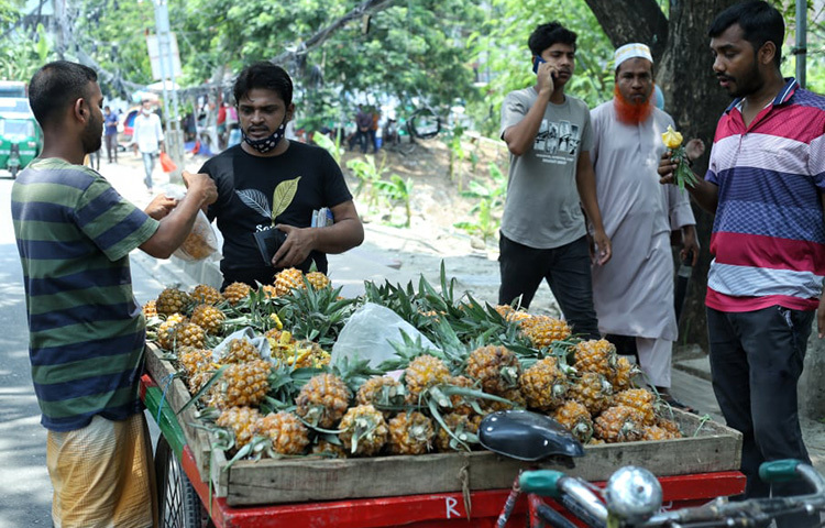 রাজধানীজুড়ে এখন মিলছে বিভিন্ন মৌসুমী ফল। বাড্ডার একটি সড়কের ভ্যান গাড়ি থেকে আনারস কিনছেন এক ক্রেতা। ছবি: মাহবুব আলম