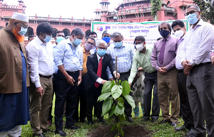 ঢাকা বিশ্ববিদ্যালয়ের শতবর্ষ পূর্তিতে বৃক্ষরোপণ করেছেন উপাচার্য ড. মোহাম্মদ আখতারুজ্জামান। ছবি: জাগো নিউজ