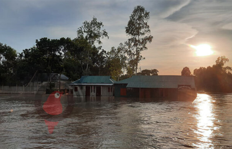 জামালপুরে যমুনা নদীর পানি বৃদ্ধি পেয়ে বিপৎসীমার ৪৪ সেন্টিমিটার ওপর দিয়ে প্রবাহিত হচ্ছে। উজান থেকে ধেয়ে আসা পাহাড়ি ঢল আর গত কয়েকদিনের ভারি বর্ষণে জেলার নদনদীর পানি বৃদ্ধি অব্যাহত থাকায় প্রতিদিন নতুন নতুন এলাকা প্লাবিত হচ্ছে। ছবি: জাগো নিউজ
