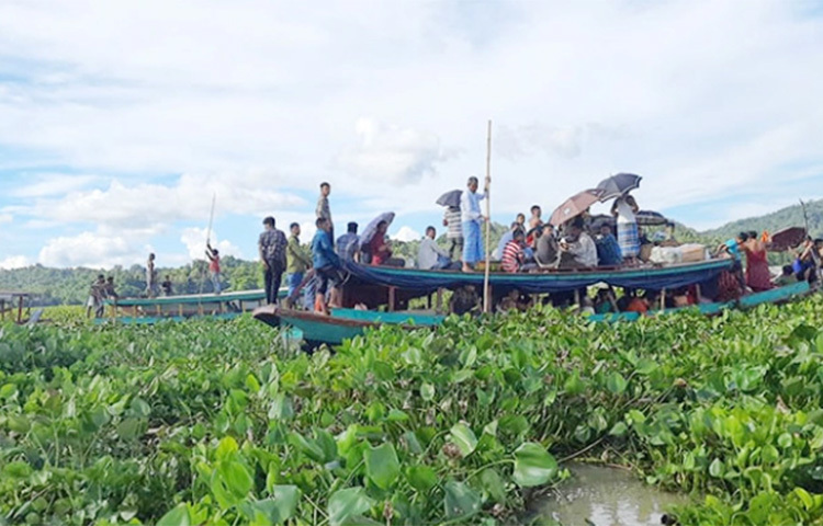 রাঙ্গামাটির কাপ্তাই হ্রদে মাত্রাতিরিক্ত কচুরিপানা জন্মেছে। প্রতিবছর বর্ষায় কমবেশি এ সমস্যা থাকলেও চলতি বছর প্রকট আকার ধারণ করেছে। কচুরিপানার কারণে নৌচলাচল ব্যাহত হচ্ছে। ছবি: শংকর হোড়