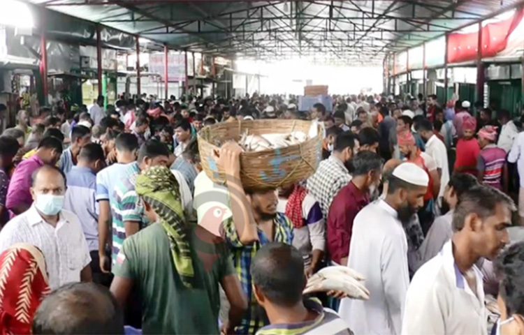 দেশের নদ-নদী ও বঙ্গোপসাগরে ৪ অক্টোবর থেকে ইলিশ ধরায় নিষেধাজ্ঞা শুরু হচ্ছে। এ সময় মাছ ধরা, বিক্রি, বিপণন, মজুত ও পরিবহন বন্ধ থাকবে। ফলে আজ সকাল থেকে বরিশালের পোর্টরোড মৎস্য অবতরণ কেন্দ্রে ক্রেতাদের ভিড় ছিল চোখে পড়ার মতো। ছবি: সাইফ আমীন