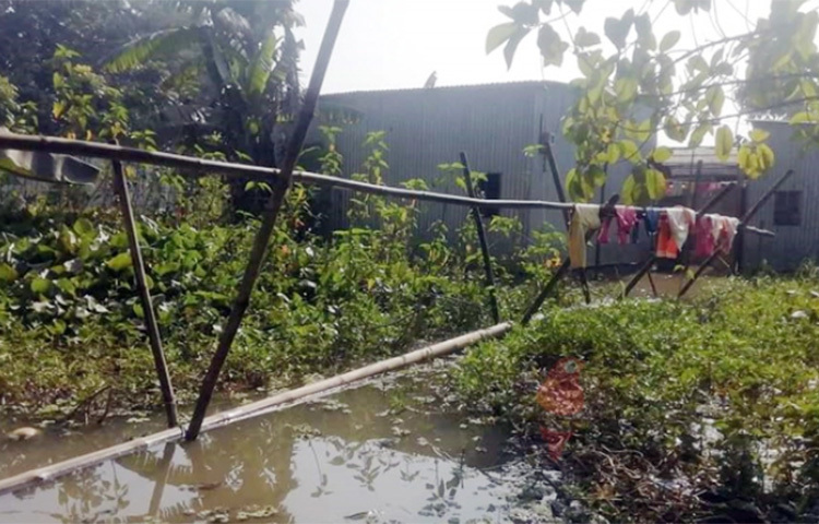 ফরিদপুর সদর উপজেলায় দীর্ঘদিন ধরে পানিবন্দি জীবনযাপন করছে শতাধিক পরিবার। ভুক্তভোগীদের অভিযোগ, প্রায় সারাবছরই পানিবন্দি থাকতে হয় তাদের। বাড়ির উঠানে পানি জমে থাকায় ঘরবন্দি থাকতে হয় শিশু-কিশোরদের। অনেক সময় দুর্ঘটনাও ঘটছে। অনেক পরিবার নিজেদের উদ্যোগে বাঁশের সাঁকো তৈরি করে কোনোমতে চলাফেরা করছেন। ছবি: এন কে বি নয়ন