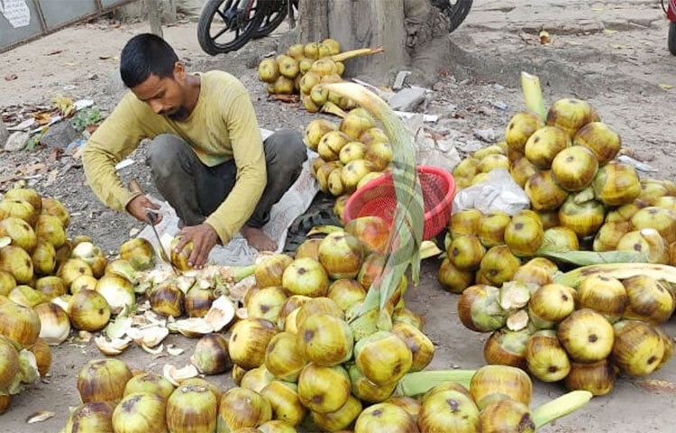 দেশের অন্যান্য স্থানের মতো চুয়াডাঙ্গার বাজারেও আম, লিচুসহ হরেক রকমের মৌসুমি ফলের দেখা মিলছে। সেই সঙ্গে পাওয়া যাচ্ছে সুস্বাদু তালশাঁসও। প্রচণ্ড তাপপ্রবাহে বাড়ছে ফলটির কদর। চুয়াডাঙ্গা পৌর শহরের অলিগলিসহ উপজেলাগুলোর বিভিন্ন বাজার এলাকার মোড়ে মোড়ে বিক্রি হচ্ছে তালশাঁস। একটি শাঁস আকারভেদে ৪-৫ টাকা এবং একটি তাল ১০-১৫ টাকা দরে বিক্রি করছেন বিক্রেতারা। ছবি: সালাউদ্দীন কাজল