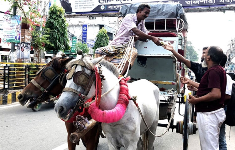 ভাড়া বাড়ানোর দাবিতে রাজশাহী শহরে আন্দোলন করছেন ব্যাটারিচালিত অটোরিকশার (ছয় আসনবিশিষ্ট) চালকরা। তবে ব্যাটারিচালিত দুই আসনের অটোরিকশাগুলো চলছে। শহরে যাতায়াতের মূল মাধ্যম ছয় আসনের অটোরিকশা চলাচল বন্ধ থাকায় বিপাকে পড়েছেন যাত্রীরা। এ সুযোগে শহরে নেমেছে ঐতিহ্যবাহী টমটম গাড়ি। ছবি: জাগো নিউজ
